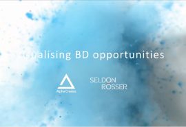 Seldon-Rosser-Visualising-Data-Alpha-Creates
